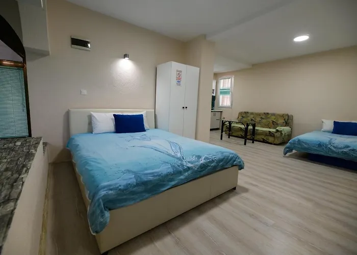 Rose\'S Apartment